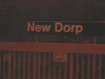 Skipped Planned Stop at New Dorp