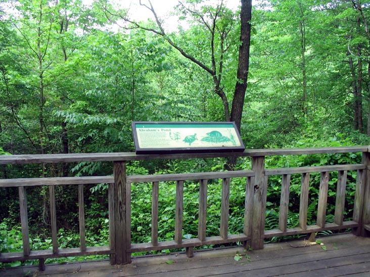 Pond Overlook, Abraham's Pond Foot Trail, Clay Pit Ponds State Park Preserve, Charleston, Staten Island