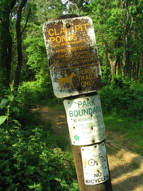 Horse Trail, Sharrotts Road, Clay Pit Ponds State Park Preserve, Charleston, Staten Island
