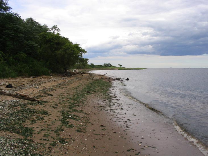 Beach, Conference House Park, Staten Island