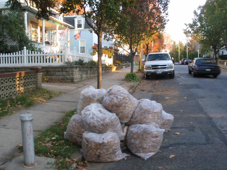 Bags of Leaves, Bentley Street, Tottenville, Staten Island
