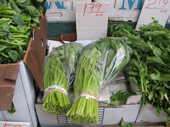 Water Spinach (Hollow Vegetables), 5704 8th Avenue, Sunset Park, Brooklyn