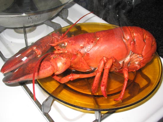 How To Cook A Live Lobster: Let Cool