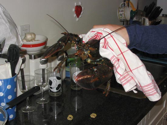 How To Cook A Live Lobster: Turkey Time