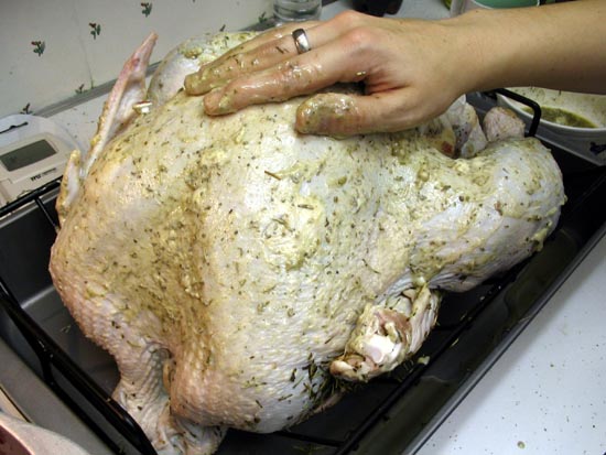 Buttering Up A Thanksgiving Turkey