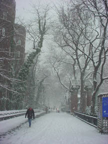 First Snow, December 2003