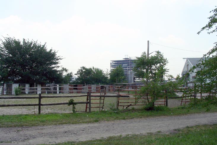 Pelham Parkway Stables, 1680 Pelham Parkway, Baychester, The Bronx
