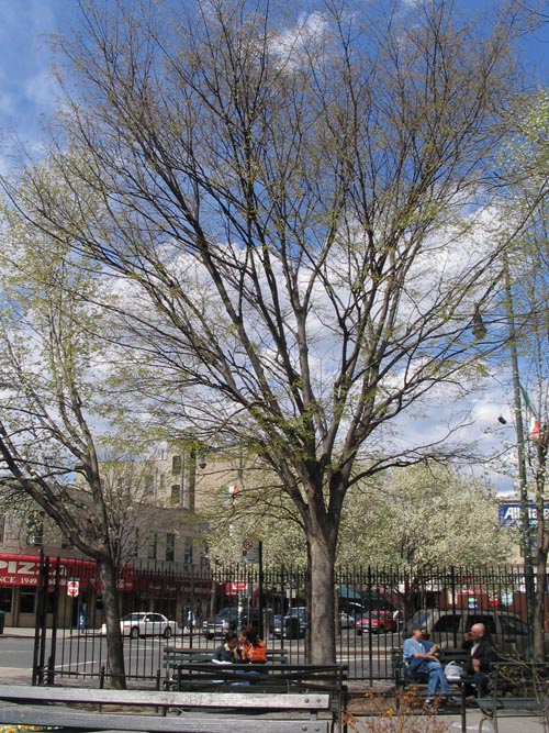 D'Auria-Murphy Triangle, Belmont, The Bronx