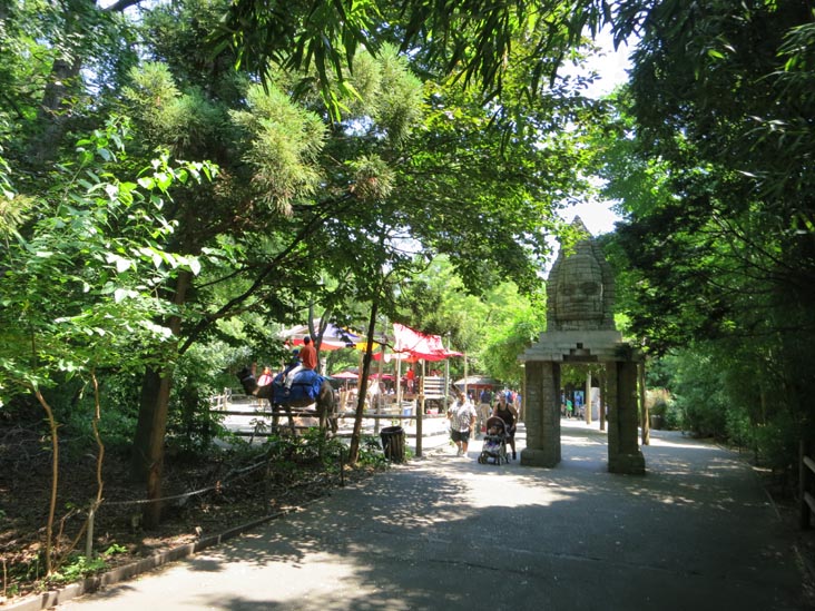 Bronx Zoo, Bronx Park, The Bronx, July 12, 2012