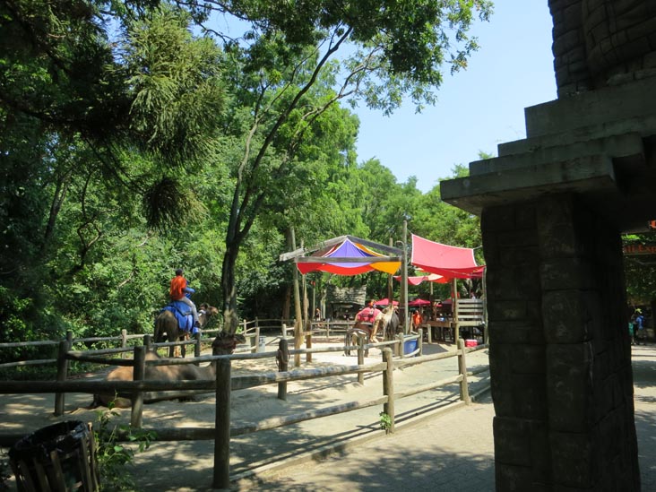 Bronx Zoo, Bronx Park, The Bronx, July 12, 2012