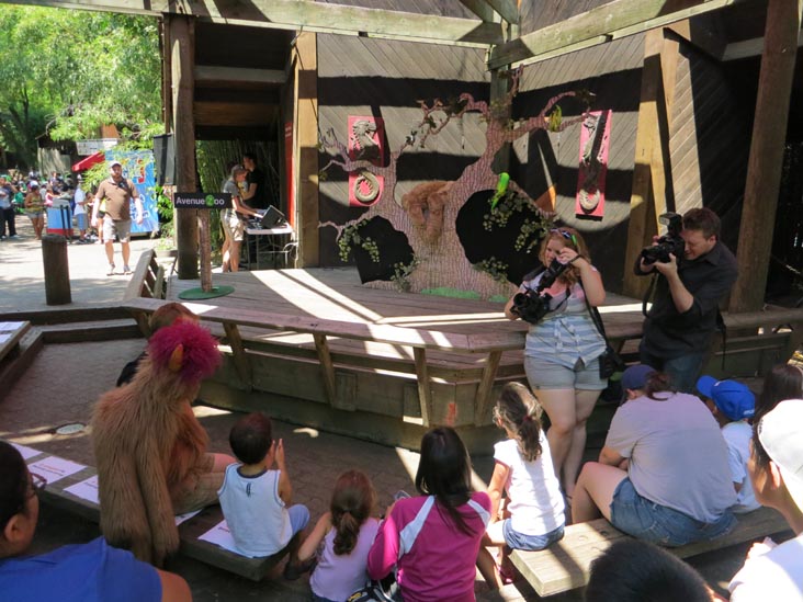 Avenue Zoo, Bronx Zoo, Bronx Park, The Bronx, July 12, 2012