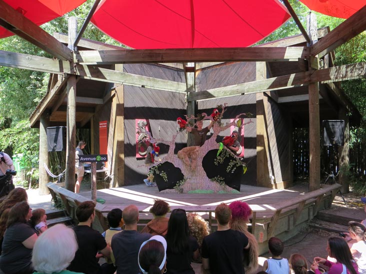 Avenue Zoo, Bronx Zoo, Bronx Park, The Bronx, July 12, 2012