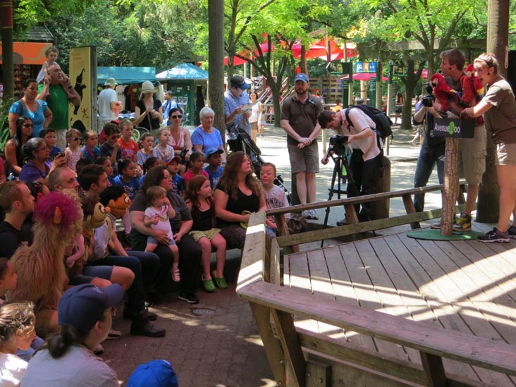 Avenue Zoo, Bronx Zoo, Bronx Park, The Bronx, July 12, 2012