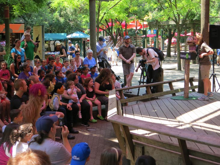 Avenue Zoo, Bronx Zoo, Bronx Park, The Bronx, July 12, 2012