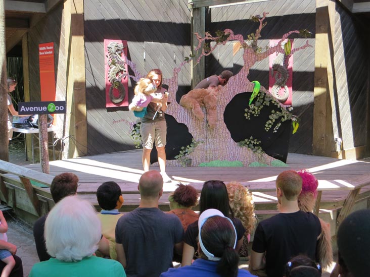 Avenue Zoo, Bronx Zoo, Bronx Park, The Bronx, July 12, 2012