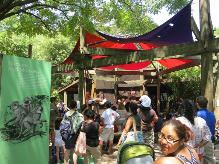 Avenue Zoo, Bronx Zoo, Bronx Park, The Bronx, July 12, 2012