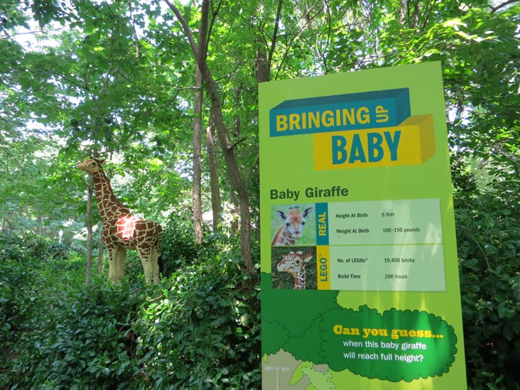 Wild Forest: A Lego Safari, Bronx Zoo, Bronx Park, The Bronx, July 12, 2012