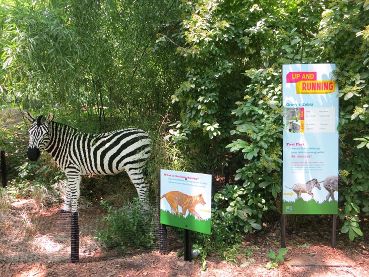 Wild Forest: A Lego Safari, Bronx Zoo, Bronx Park, The Bronx, July 12, 2012