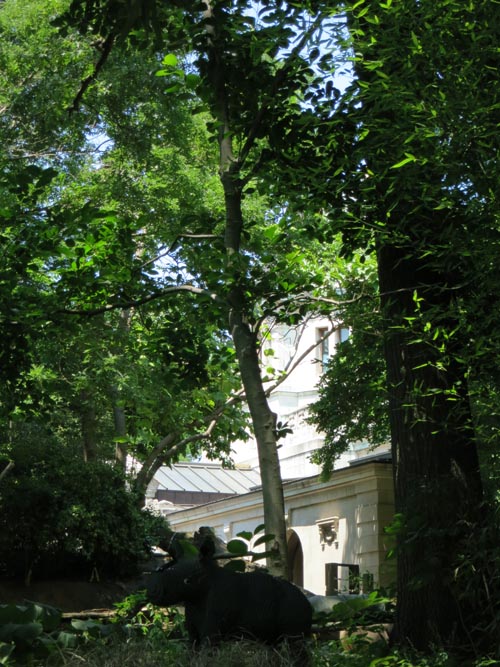 Wild Forest: A Lego Safari, Bronx Zoo, Bronx Park, The Bronx, July 12, 2012