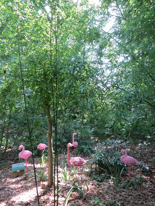 Wild Forest: A Lego Safari, Bronx Zoo, Bronx Park, The Bronx, July 12, 2012