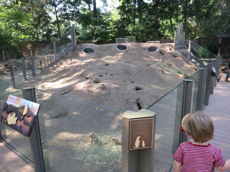 Children's Zoo, Bronx Zoo, Bronx Park, The Bronx, September 8, 2015