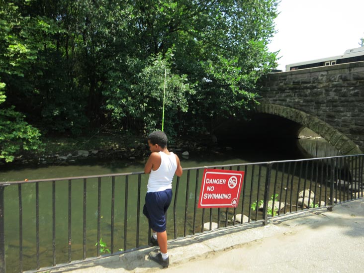 Bronx River, River Park, Boston Road and East 180th Street, The Bronx, July 12, 2012