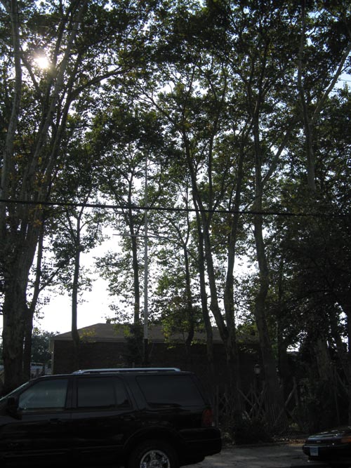 Hawkins Sitting Area, City Island, The Bronx, August 20, 2009