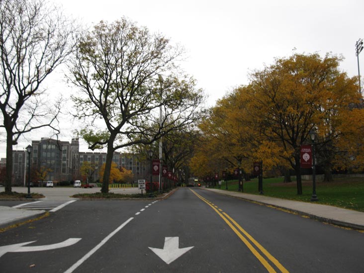 Fordham University, The Bronx, November 15, 2011