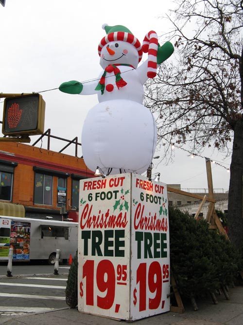 Christmas Trees For Sale, John Fraser Bryan Park, Fordham Road at Kingsbridge Road, Fordham, The Bronx, December 9, 2008