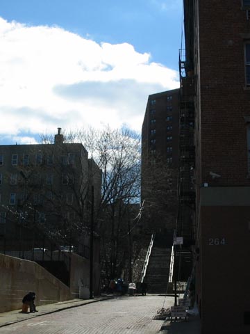 Cedar Avenue and Tremont Avenue West, Morris Heights, The Bronx