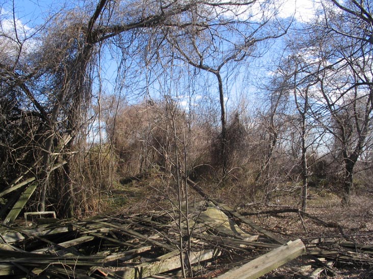 North Brother Island, East River, The Bronx
