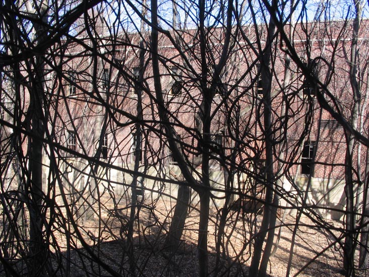 Service Building, View From The Nurses' Home, North Brother Island, East River, The Bronx