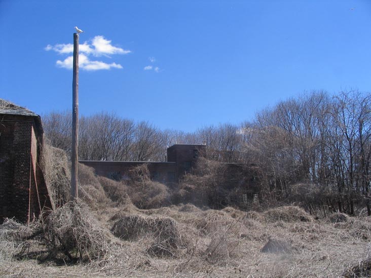 Shop and Storage Building, North Brother Island, East River, New York City