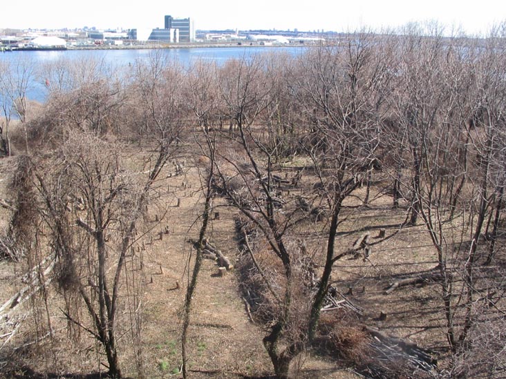 View To The Southeast Towards Rikers Island From The Tuberculosis Pavilion, North Brother Island, East River, The Bronx