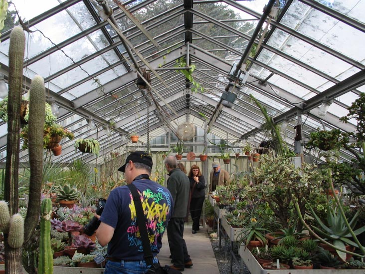 Cacti and Succulents, Marco Polo Stufano Conservatory, Wave Hill, The Bronx