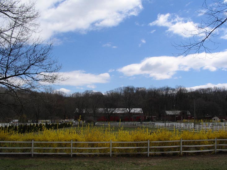Riverdale Equestrian Centre, Van Cortlandt Park, The Bronx