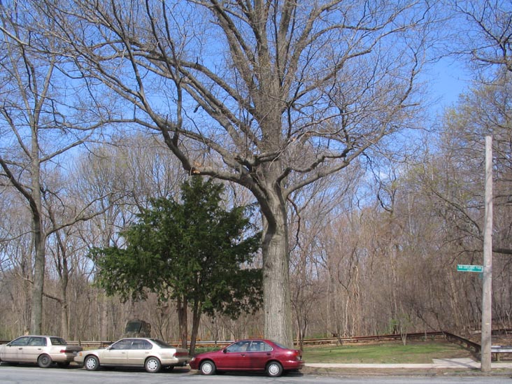 Van Cortlandt Park East Across From Oneida Triangle, Woodlawn, The Bronx