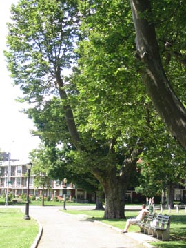 Walk, John Paul Jones Park, Bay Ridge, Brooklyn