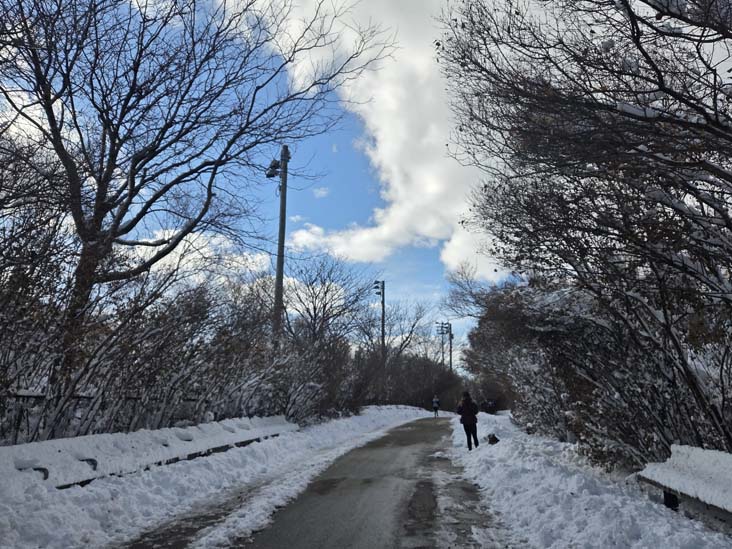 Pier 6, Brooklyn Bridge Park, Brooklyn, February 24, 2026