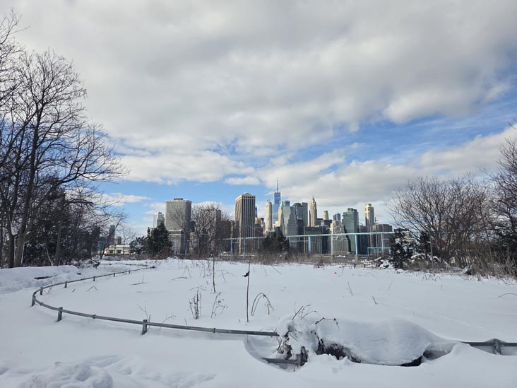 Flower Field, Pier 6, Brooklyn Bridge Park, Brooklyn, February 24, 2026
