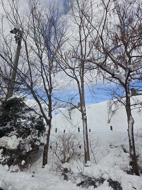 Pier 5 Uplands, Brooklyn Bridge Park, Brooklyn, February 24, 2026