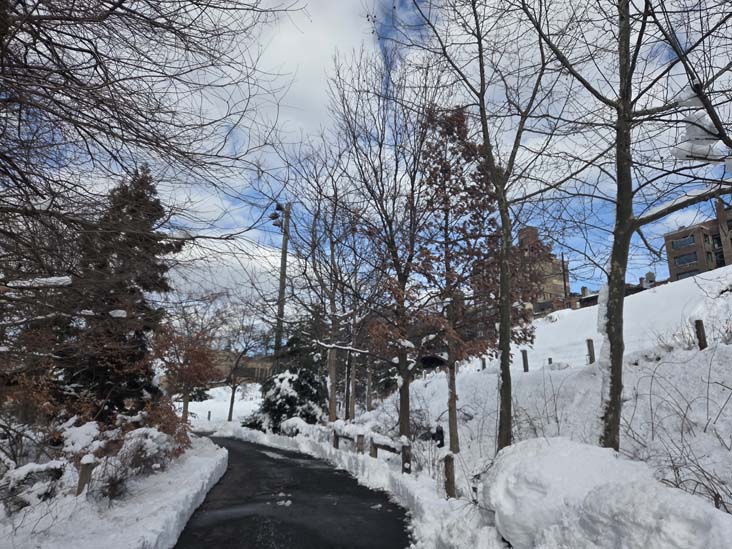 Pier 5 Uplands, Brooklyn Bridge Park, Brooklyn, February 24, 2026