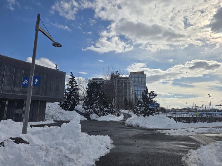 Pier 5 Uplands, Brooklyn Bridge Park, Brooklyn, February 24, 2026
