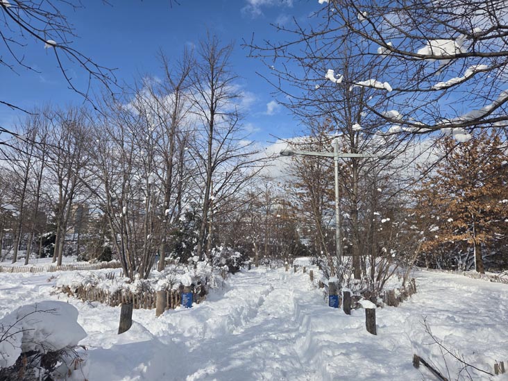 Pier 3, Brooklyn Bridge Park, Brooklyn, February 24, 2026
