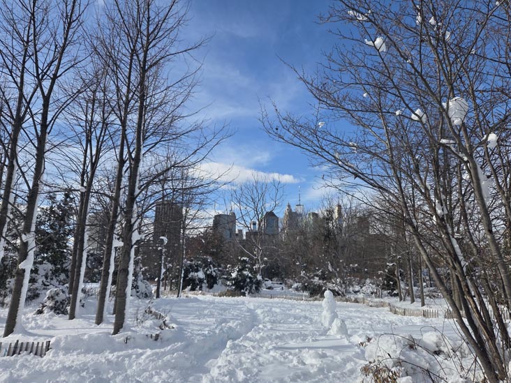 Pier 3, Brooklyn Bridge Park, Brooklyn, February 24, 2026
