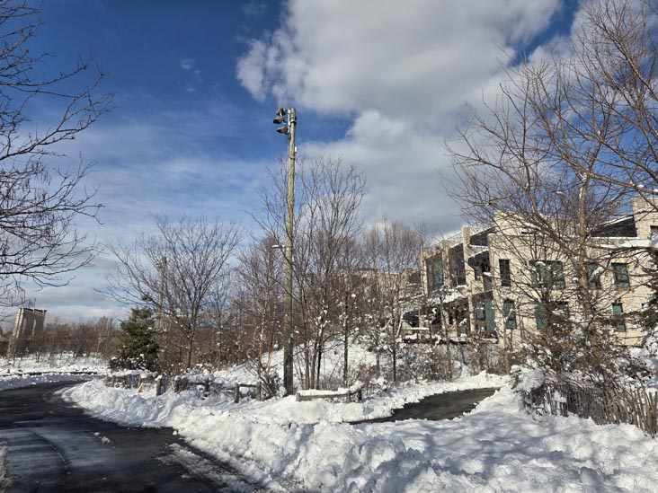 Pier 2 Uplands, Brooklyn Bridge Park, Brooklyn, February 24, 2026