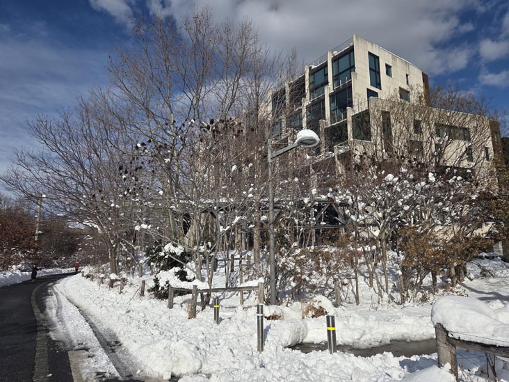Pier 2 Uplands, Brooklyn Bridge Park, Brooklyn, February 24, 2026