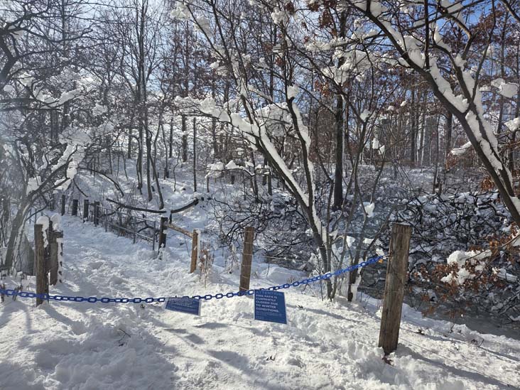 Pier 1, Brooklyn Bridge Park, Brooklyn, February 24, 2026