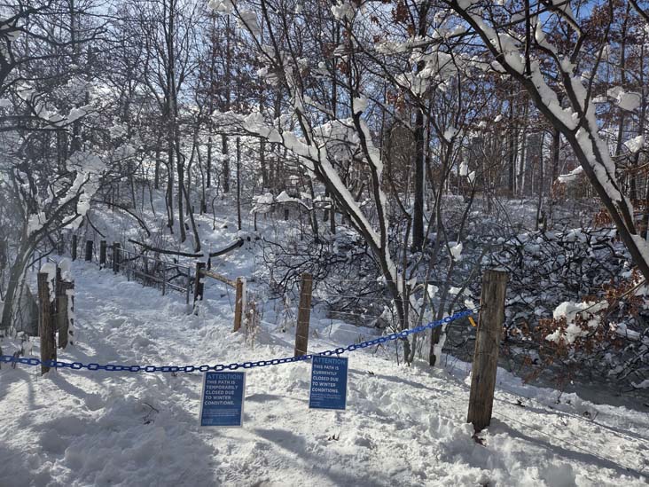 Pier 1, Brooklyn Bridge Park, Brooklyn, February 24, 2026