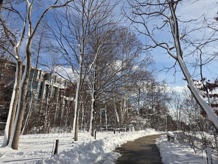 Pier 1, Brooklyn Bridge Park, Brooklyn, February 24, 2026
